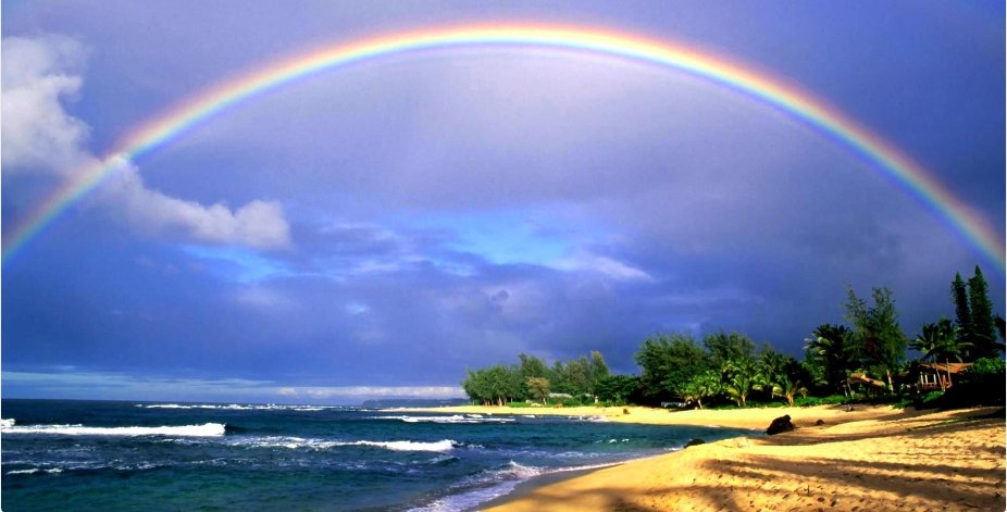 Good morning, Tweeps!