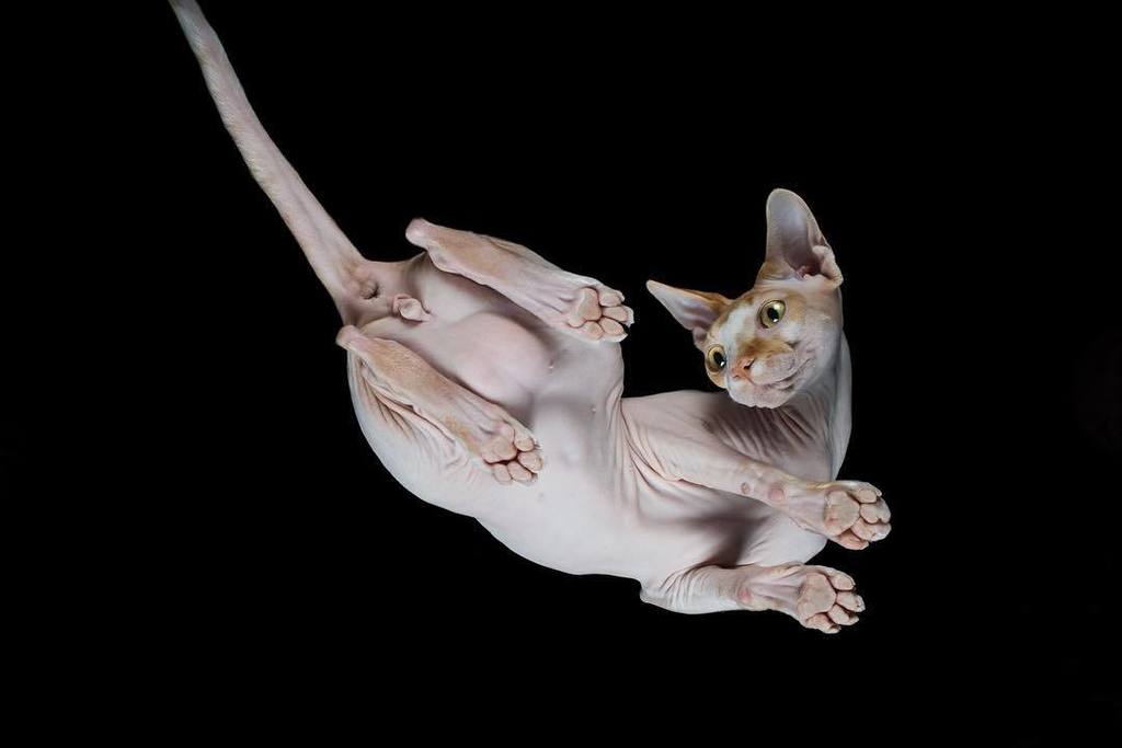 H E Y. J. A C K!

Here Jack again from underneath! He was looking for an answer to the que… ift.tt/2clwkL9