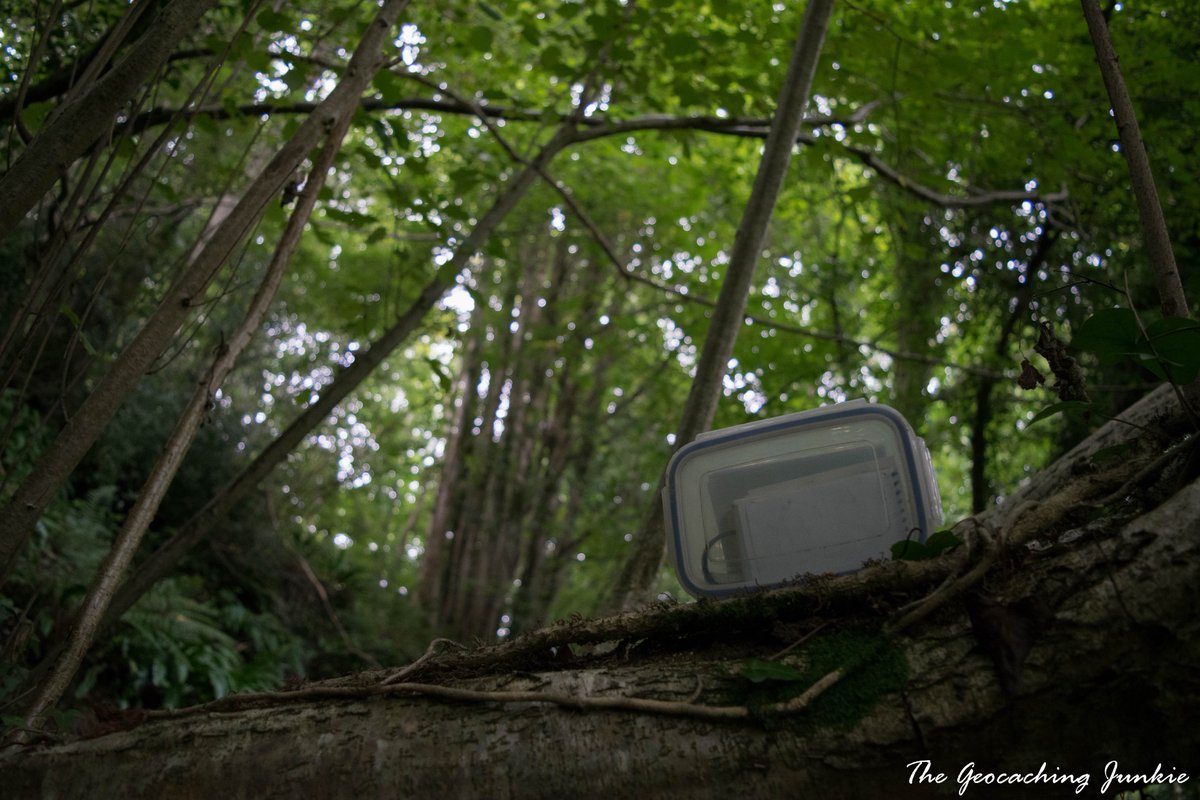 thegeojunkie's tweet image. Just one cache today but it was a good one :) Now to make treats for tomorrow's CITO! #geocaching