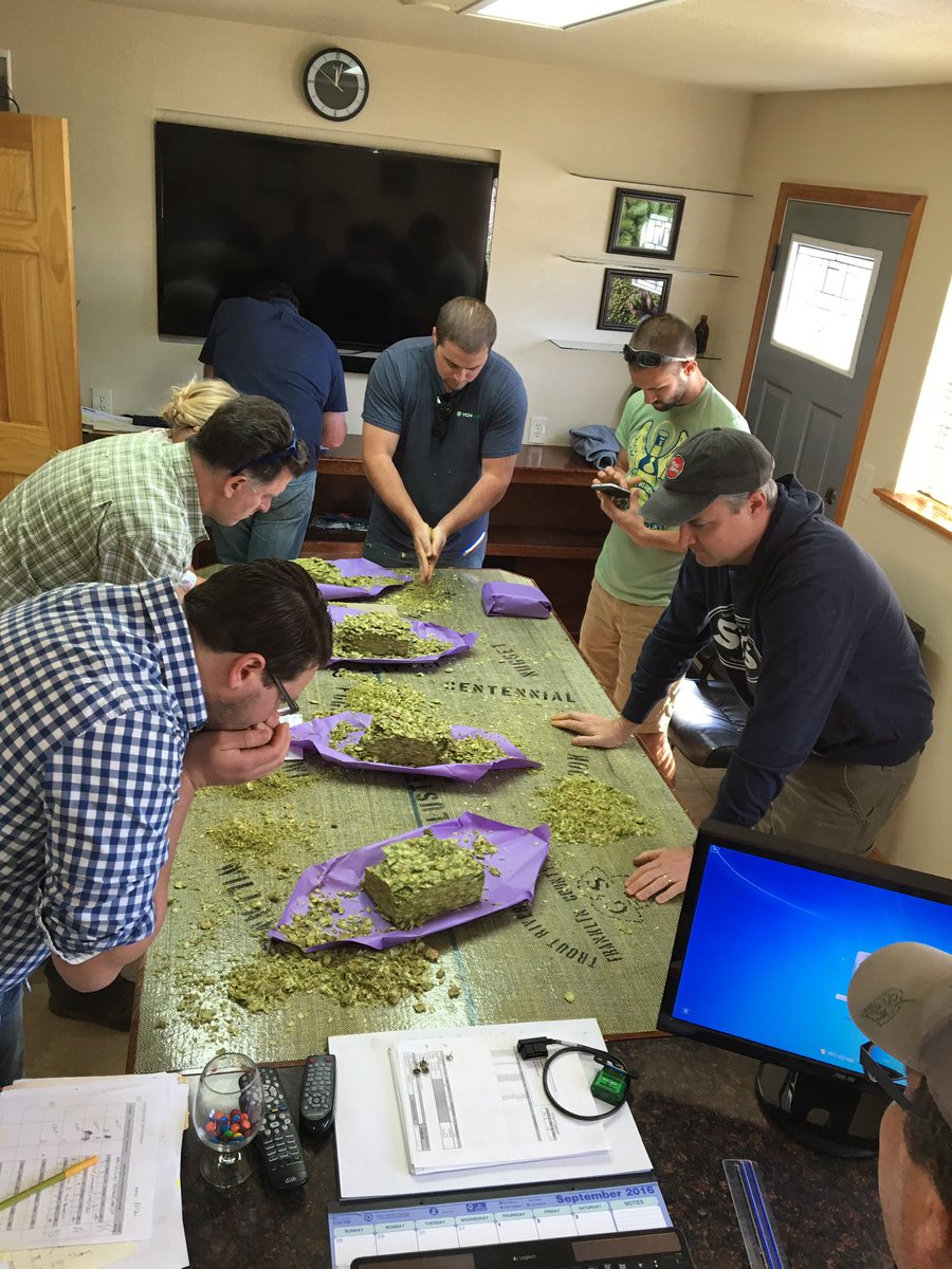 schmit81's tweet photo. So this group of lookers was all selecting from the same lots of hops at @segalhopranch #sharingiscaring https://t.co/VH4miWV74y
