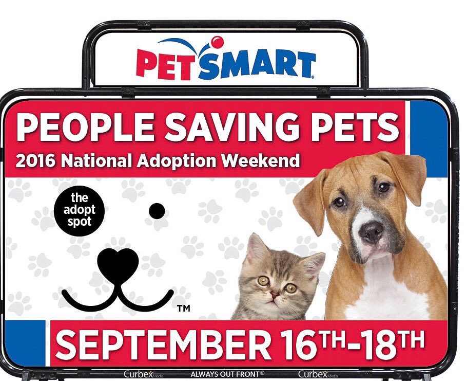 Petsmart1968's tweet photo. Stop in today and #adopt love during our National Adoption Weekend! https://t.co/JZgEwb8fy3