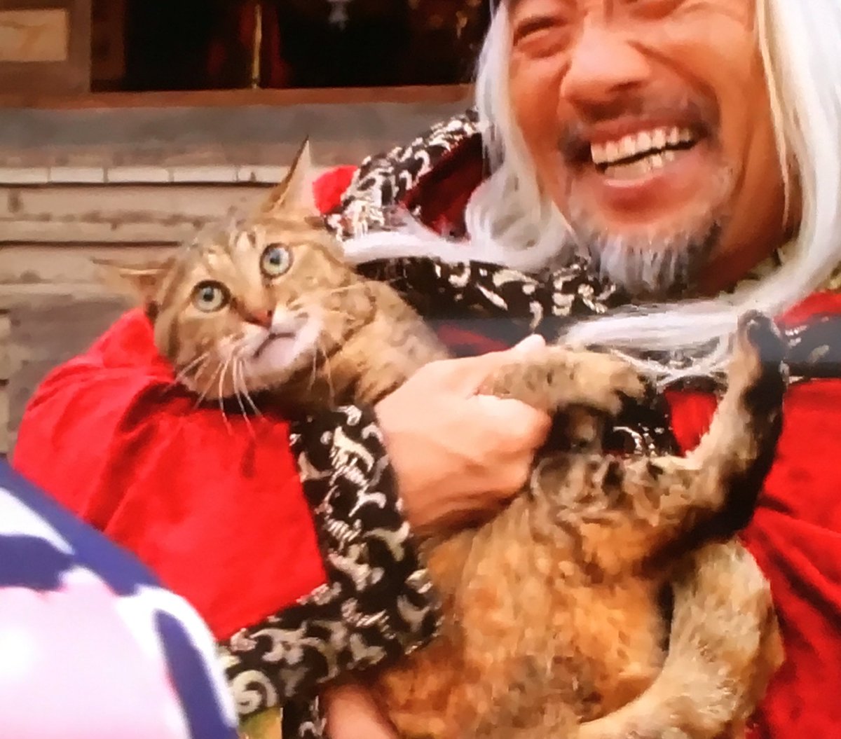 猫野御飯 仮面ライダーゴースト ユルセン猫 そして御成に威嚇w 今までの話を吹き飛ばす1番の衝撃でした Fwf