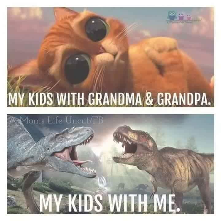 minecraftis6's tweet image. 