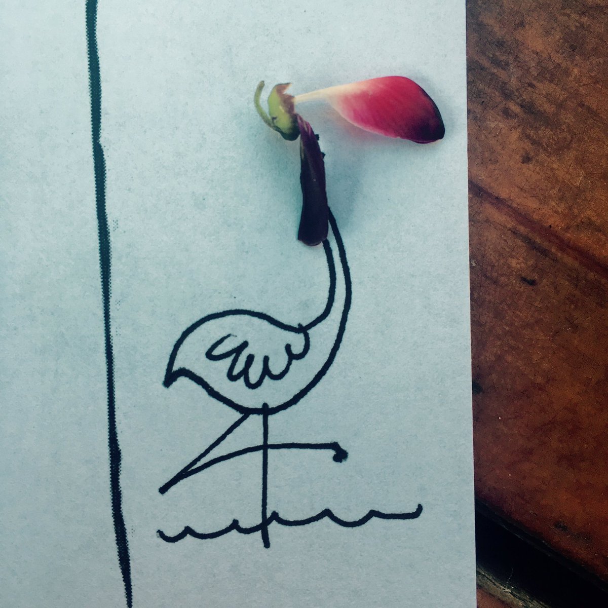 beethings tweet picture