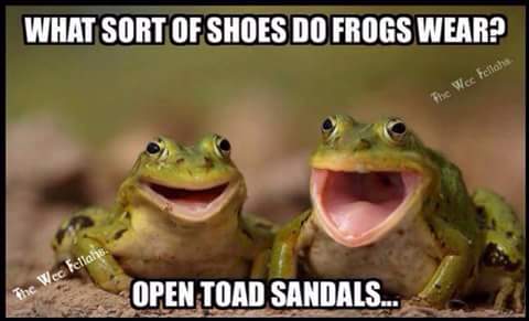 PetEventPros's tweet image. #FrogHumor