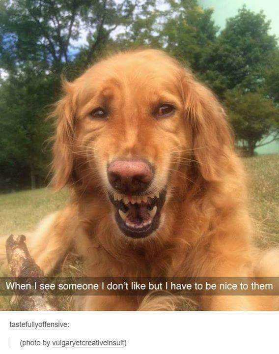 minecraftis6's tweet image. 