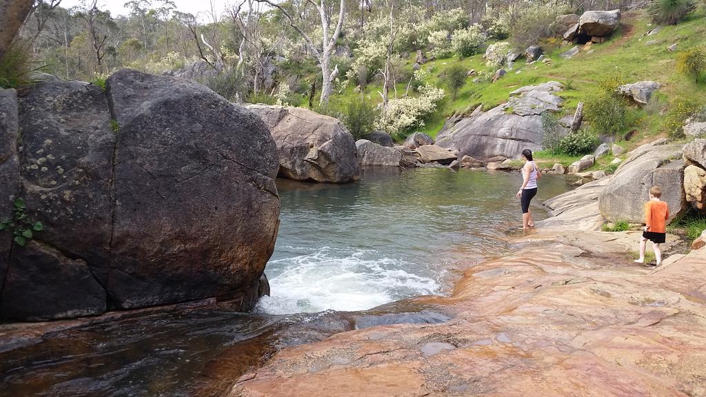 SamGedez's tweet photo. Thing I like about australia is you get mad stuff like this just dotted around naturally #rockypools https://t.co/PjeQ9phLi6