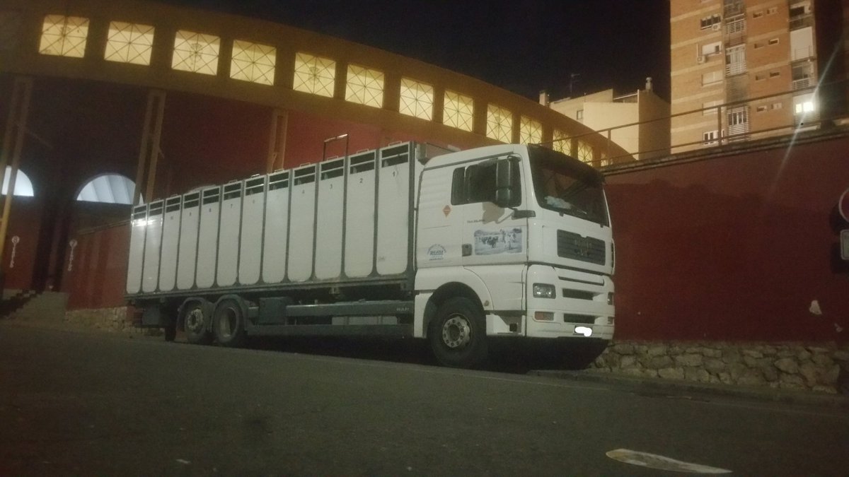 JM_TRANS_TOROS's tweet photo. Con el 12 jaulas cambiamos los #Bueyes de la  plaza de #Toros de #Guadalajara a los corrales del #Encierro https://t.co/Ophl1gIJwm