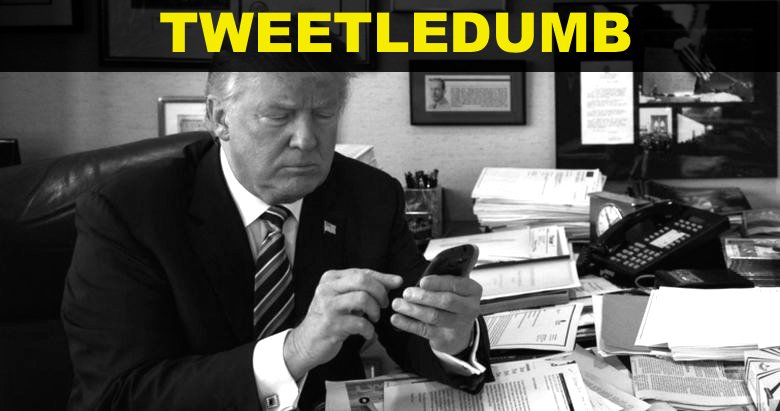 HillaryPix's tweet image. #BadJudgmentIn5Words Trump easily triggered on Twitter