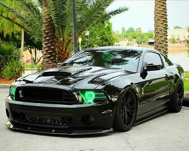 dailymustangs tweet picture
