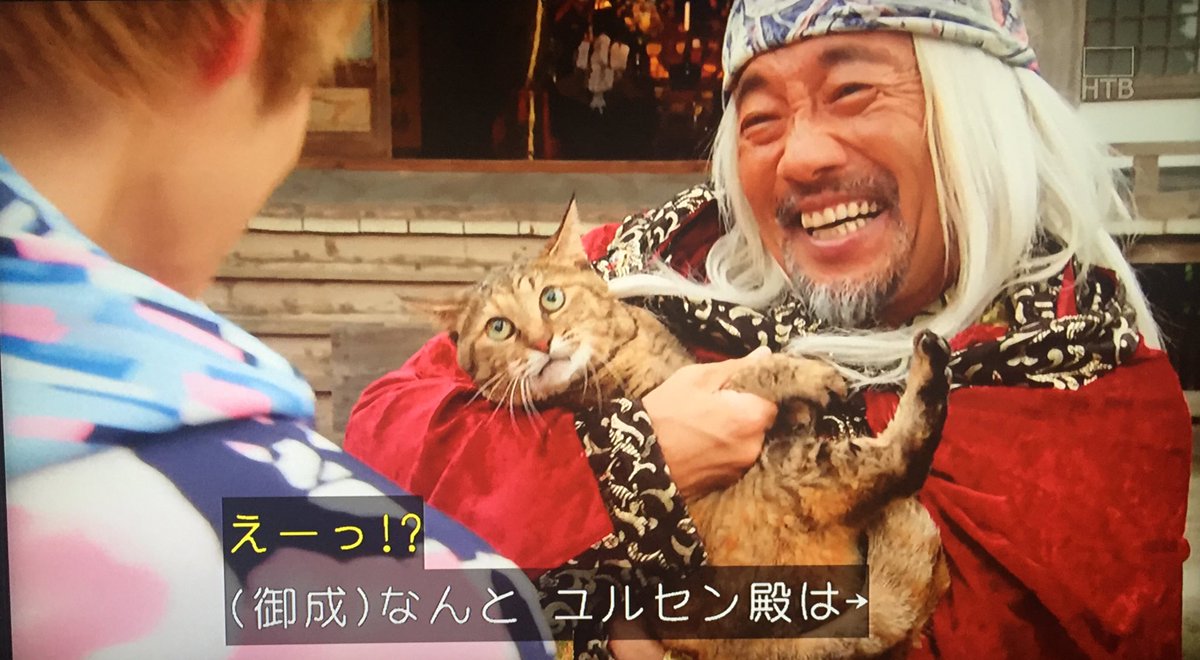 札幌の虎口裟南時貞 در توییتر ユルセンは猫だったんじゃ Sht Ghost Nitiasa Tvasahi 仮面ライダーゴースト