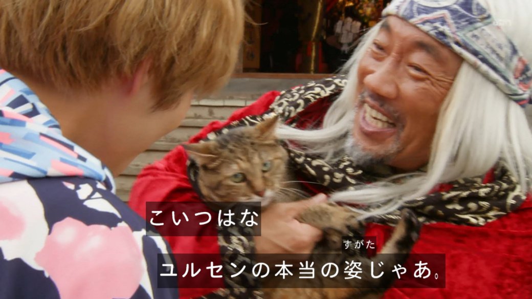 Ryu 阿摩羅識 En Twitter ユルセン 猫だったのか