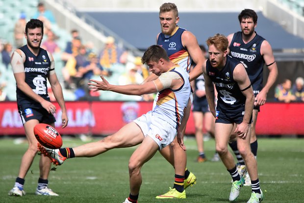 Adelaide Crows tweet media