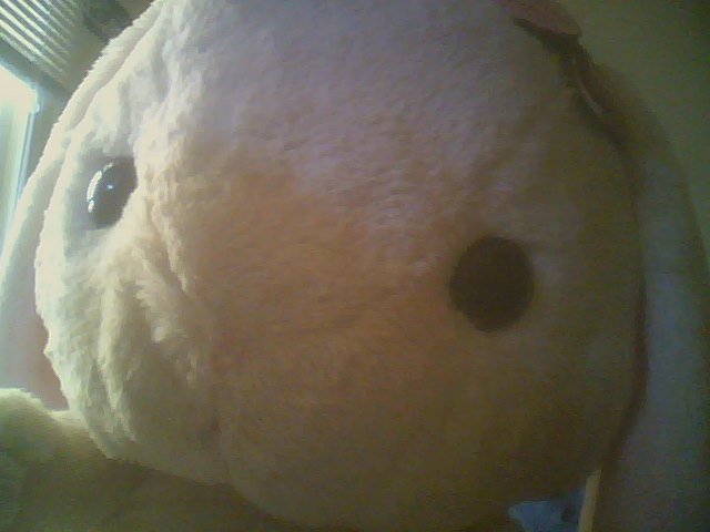 my new cam came in! look how clear it is compared to the old one ㅋㅋㅋ~ ♡ https://t.co/rOvJLpSsXj<a href="/tag/bbw"class="tags"><span>#bbw</span></a><a href="/tag/camgirl"class="tags"><span>#camgirl</span></a><a href="/tag/fetlife"class="tags"><span>#fetlife</span></a><a href="/tag/camslut"class="tags"><span>#camslut</span></a><a href="/tag/ebonybbw"class="tags"><span>#ebonybbw</span></a><a href="/tag/bbwslut"class="tags"><span>#bbwslut</span></a>