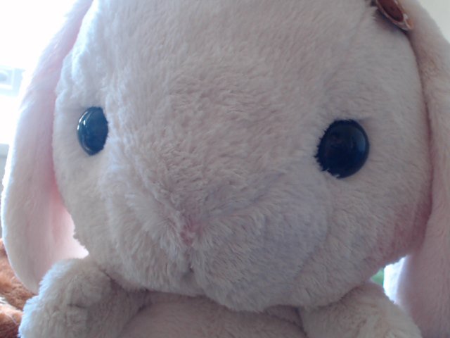 my new cam came in! look how clear it is compared to the old one ㅋㅋㅋ~ ♡ https://t.co/rOvJLpSsXj<a href="/tag/bbw"class="tags"><span>#bbw</span></a><a href="/tag/camgirl"class="tags"><span>#camgirl</span></a><a href="/tag/fetlife"class="tags"><span>#fetlife</span></a><a href="/tag/camslut"class="tags"><span>#camslut</span></a><a href="/tag/ebonybbw"class="tags"><span>#ebonybbw</span></a><a href="/tag/bbwslut"class="tags"><span>#bbwslut</span></a>