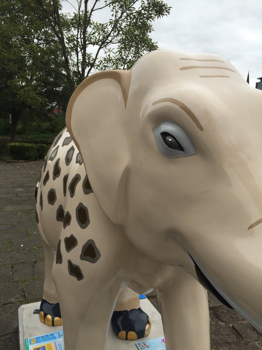 Have you met my friends? How many did you find? 🐘 Only a weeks left to find us! #herdofsheffield #Sheffieldissuper