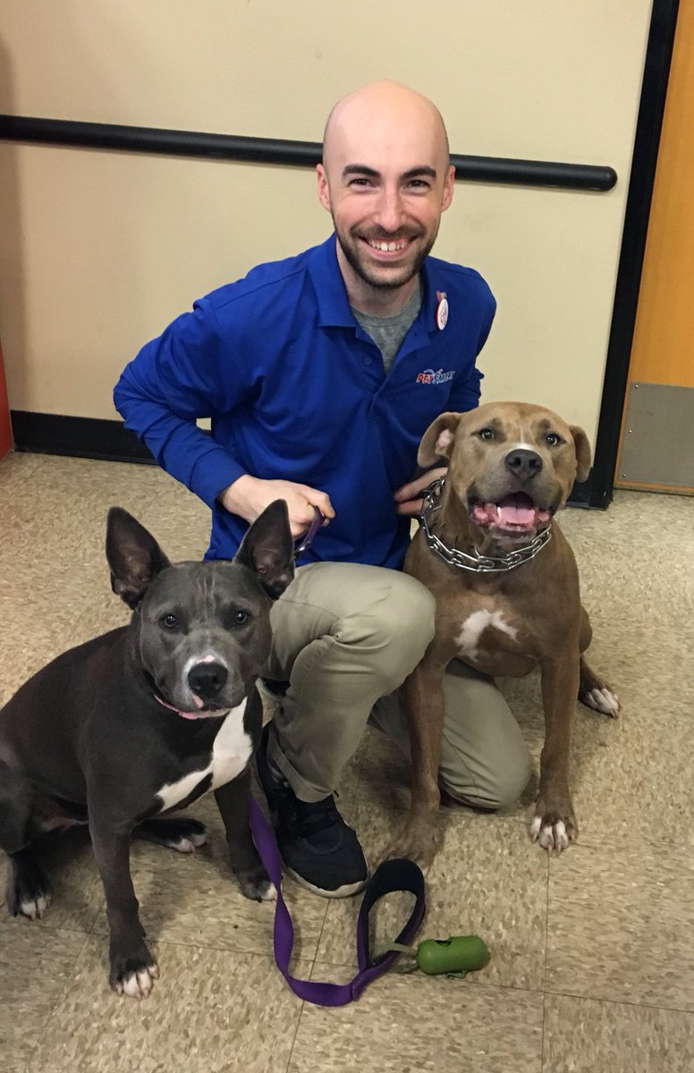 PetSmart1718's tweet photo. It's Evan's last Sat. in Clarksville, and it's so great to see all our regulars-most especially Tank &amp; Eve! #mascots https://t.co/jWuoNzLB20