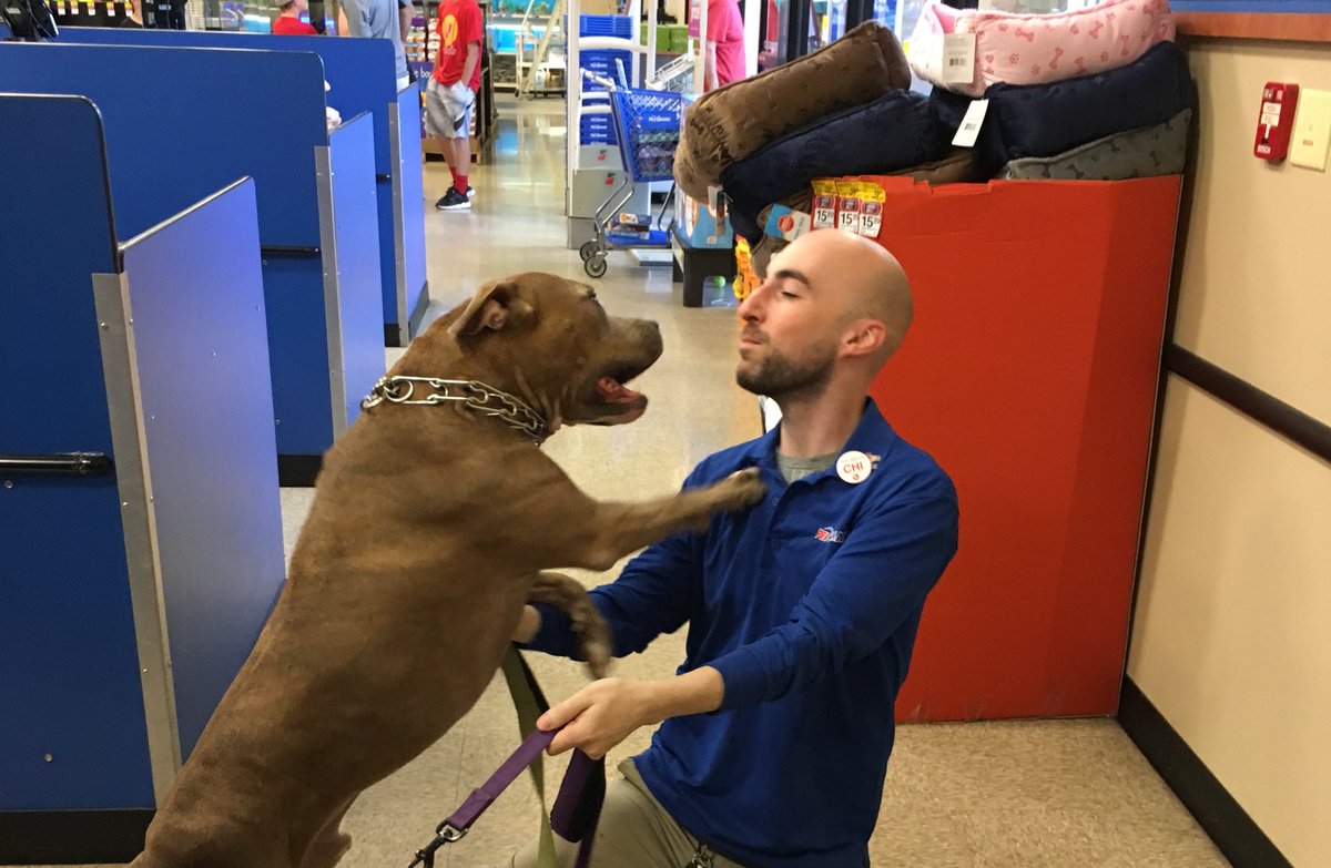 PetSmart1718's tweet photo. Tank's always DETERMINED to get in Evan's "bite zone", pulling off name tags &amp; lanyards! #NotWhileImWorking 🐶😘 https://t.co/6lJKbGXGyb