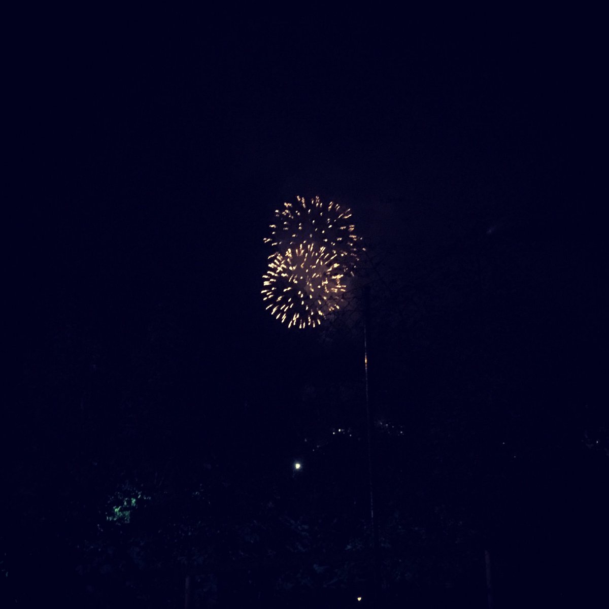rebecca_steimer's tweet photo. Good night 💚💚💚 #fireworks #firework #goodnight #night #sleeping #bedtime #feuerwerk #gutenacht #nacht #schlafen https://t.co/pmGwFh32rM