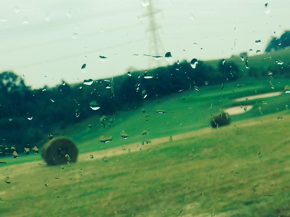GoneRedneck's tweet photo. #LifeInTheBluegrass country #golfing not only sand traps but also #roundbale obstacles #garrardcounty #countrylife https://t.co/K1nSV6C06r