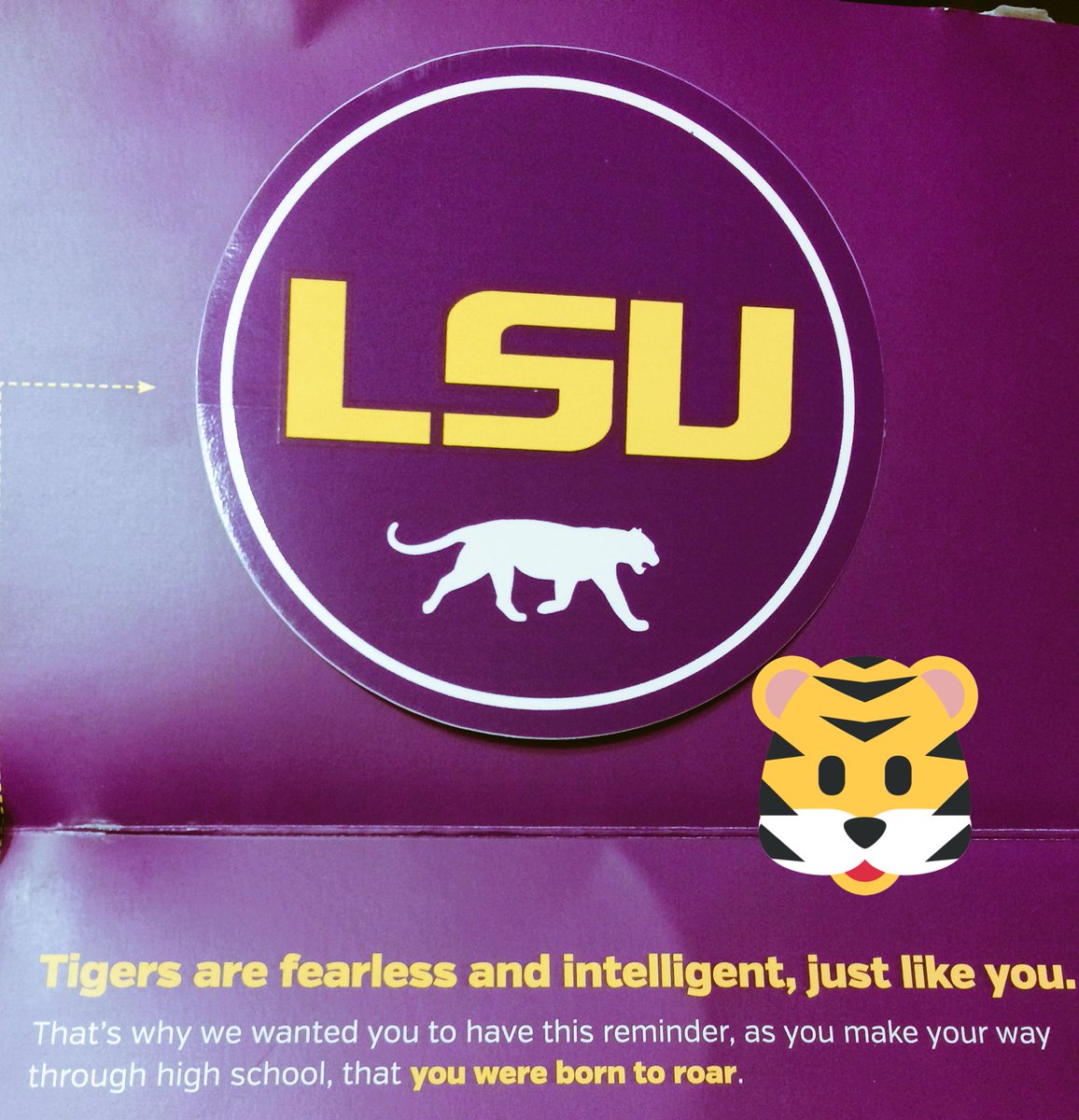 Goldteamgood's tweet photo. @lsu Thank you for the new laptop sticker! #SnapLSU #TigerPride https://t.co/OrG0NcgC1G
