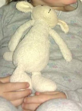 WeeBitMarti's tweet photo. This little lamb was lost today in #Morningside &amp; desperately needed back for a little girl pls retweet #Edinburgh https://t.co/D8idgs53oz