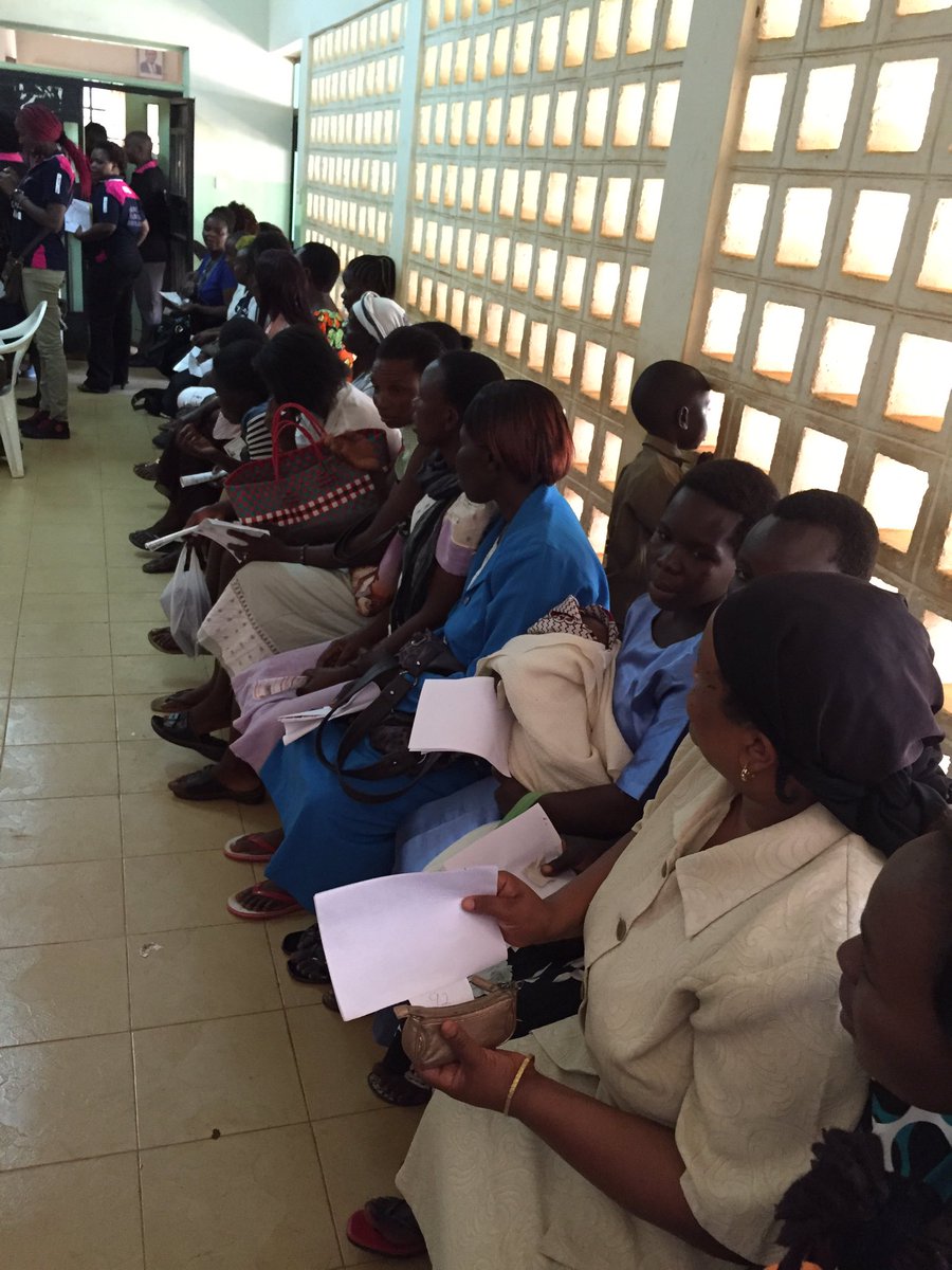 Lynne Omar tweet media