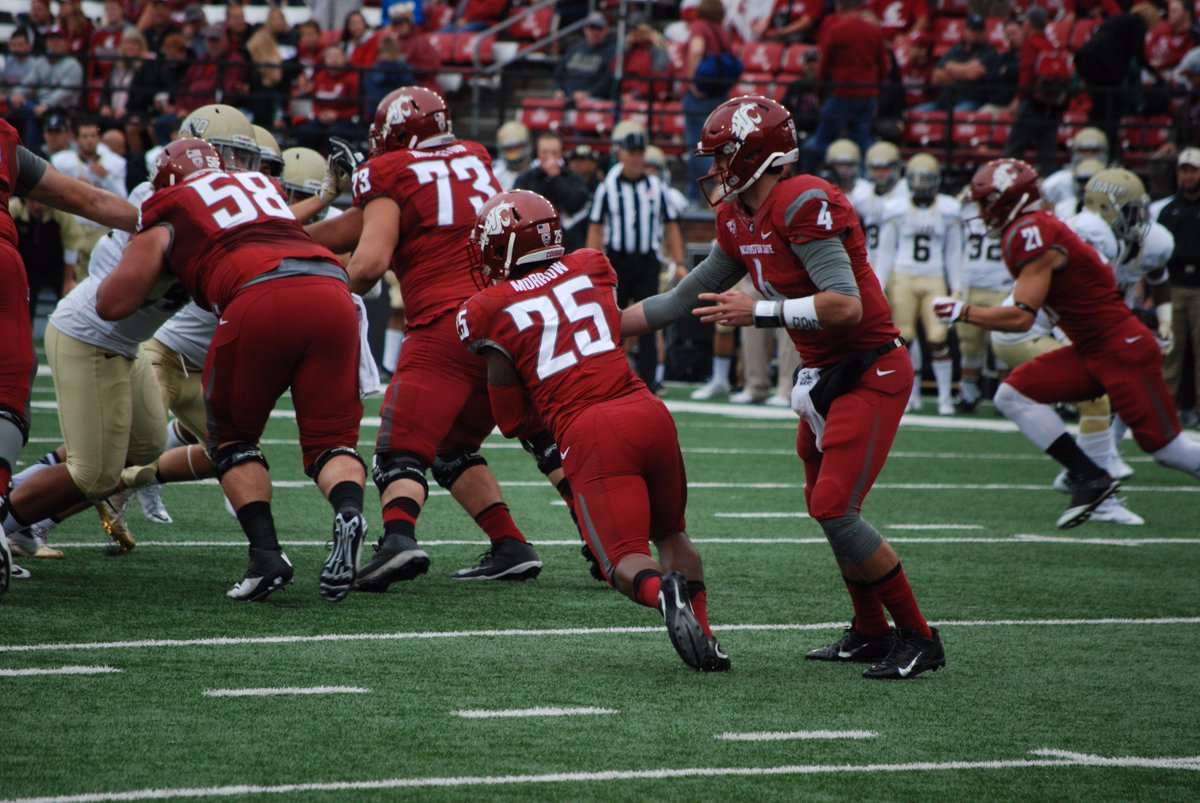 WSUPullman's tweet photo. A couple of photos from today's @wsucougfb game. Go Cougs! 🏈🐾 #WSU #GoCougs https://t.co/8My9Nr22UL