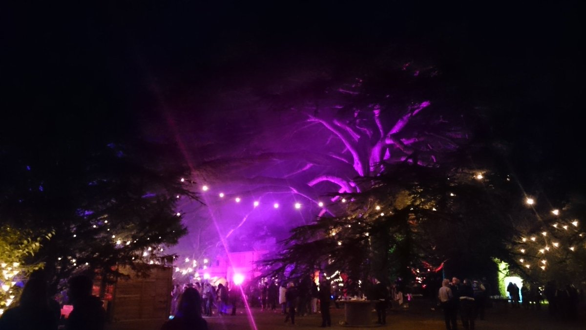 canyonwales's tweet photo. Lights jn the trees @marcusbonfanti on stage @TheWelshOven pizza in my belly @3rdspacewales beer in hand #goodtimes https://t.co/gkdBQ0CMUT