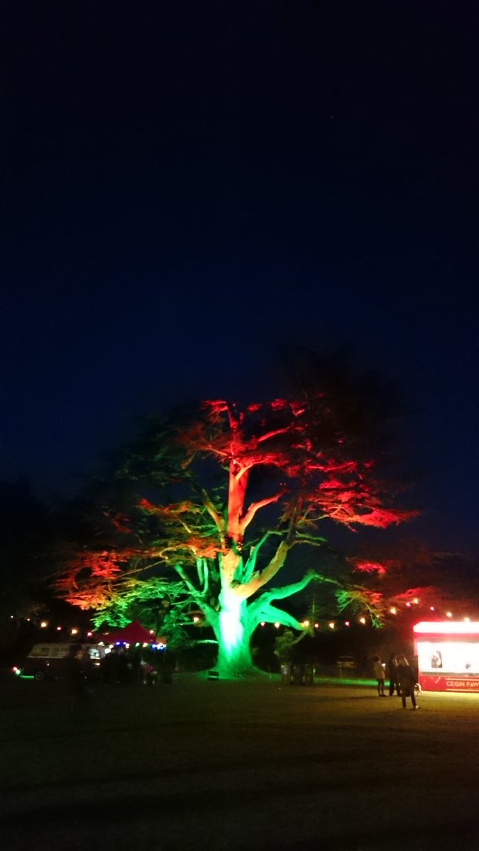 canyonwales's tweet photo. Lights jn the trees @marcusbonfanti on stage @TheWelshOven pizza in my belly @3rdspacewales beer in hand #goodtimes https://t.co/gkdBQ0CMUT