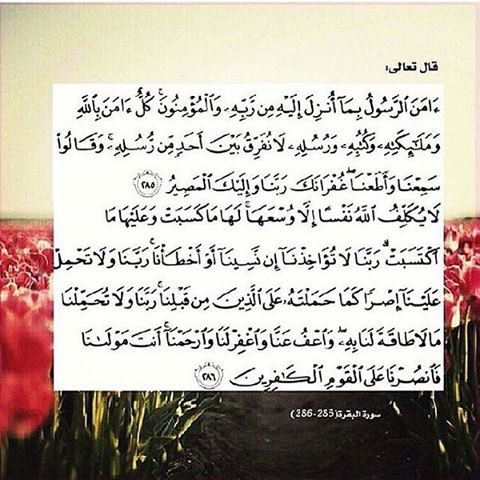 قَالَ رَسُولُ اللَّهِ ﷺ : مَنْ قَرَأَ بِالْآيَتَيْنِ مِنْ آخِرِ سُورَةِ الْبَقَرَةِ فِي لَيْلَةٍ كَفَتَاهُ