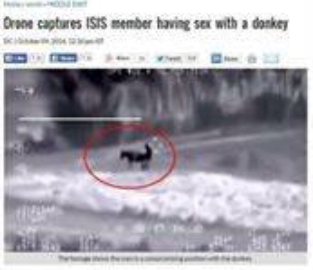 Hüsnü Mahalli حسني محلي on X: Eşekle cinsel ilişki kuran IŞİD'çiyi  görüntüleyen aşağılık Amerikalılar Suriye askerlerini yanlışlıkla vurmuş!!!  t.conyZXDmDAyG  X