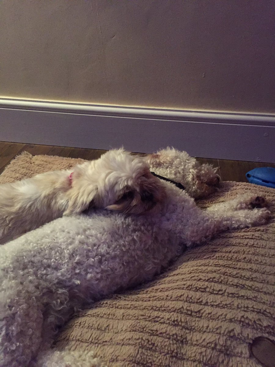 GeorgeHobin's tweet photo. Hugs with bae #saturdaynightisdatenight #doggystyle https://t.co/OLO3asLsF5