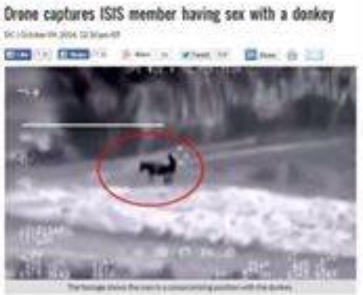 Murat Erdoğan on X: Eşek siken İŞİD'liyi havadan tespit eden kalleş ABD  yanlışlıkla Suriye ordusunu vurmuş. 100'den fazla ölü var.  t.coUz2nw73bFL  X