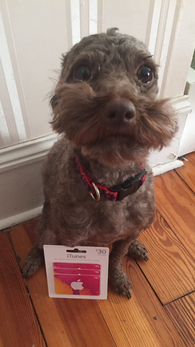 Sheldon is helping with the next giveaway! RT for a chance to win 1 of 3 $10 itunes cards (can also do GooglePlay)