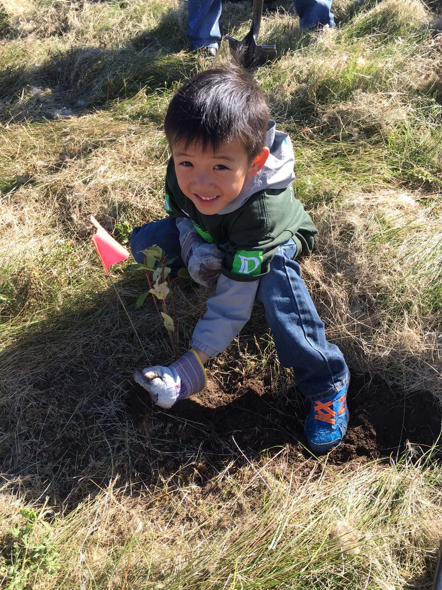 hlhkwok's tweet photo. #TDTreeday at Creekside Park! @DerekTurner_TD @VencyChui https://t.co/UzJA931WVS