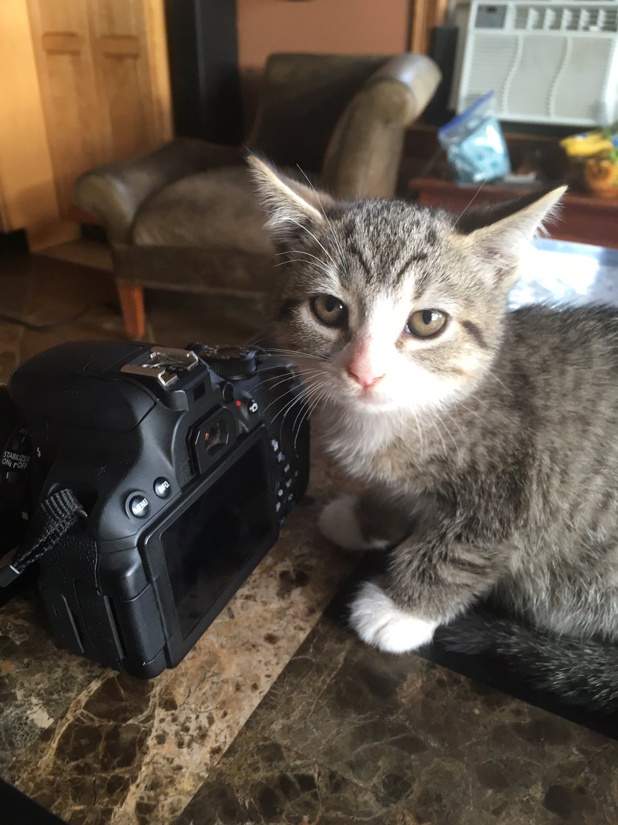 palmerater's tweet image. Born to be a star!