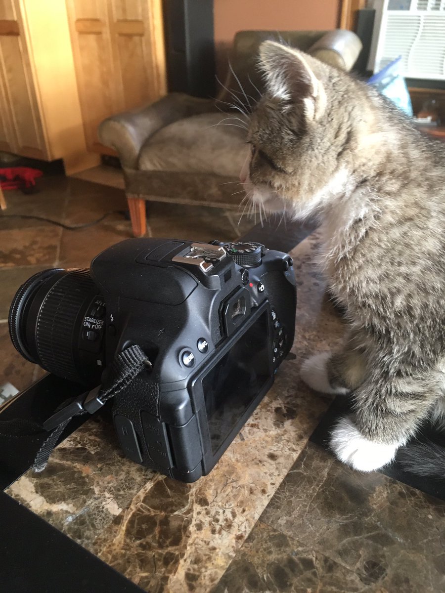 palmerater's tweet image. Born to be a star!