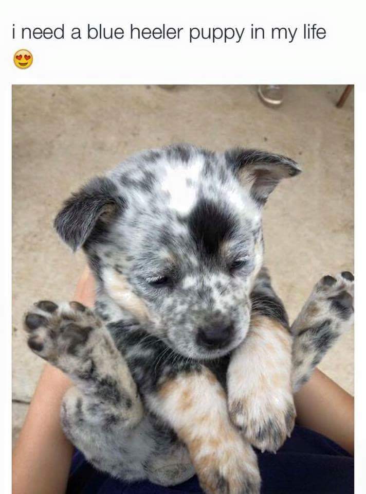 minecraftis6's tweet image. Awww