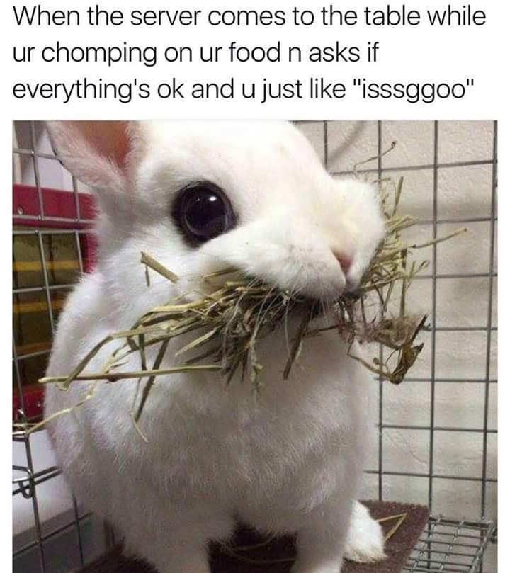 minecraftis6's tweet image. 