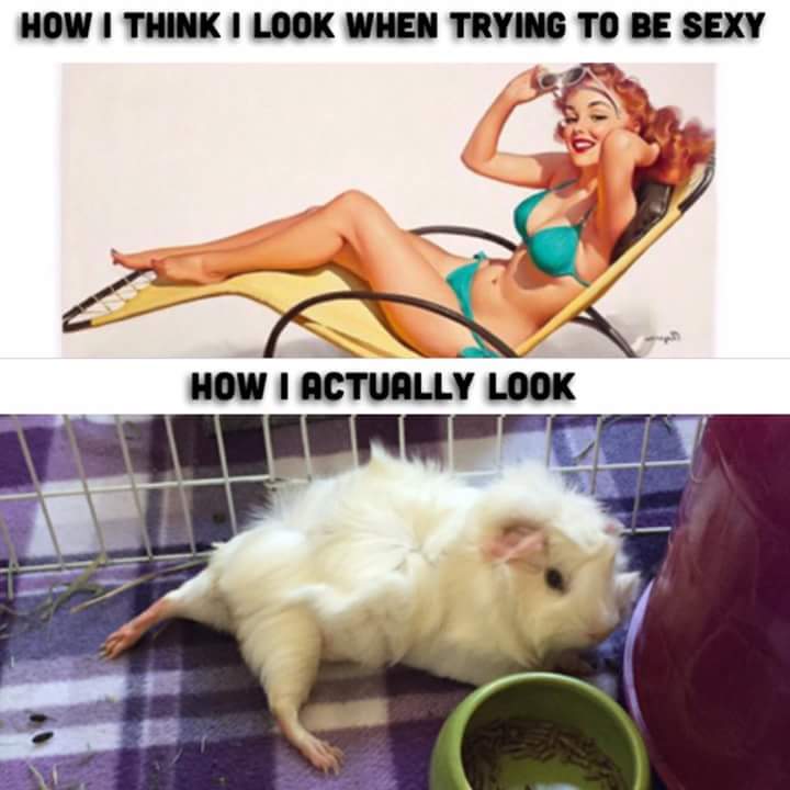 minecraftis6's tweet image. 