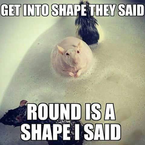 minecraftis6's tweet image. 