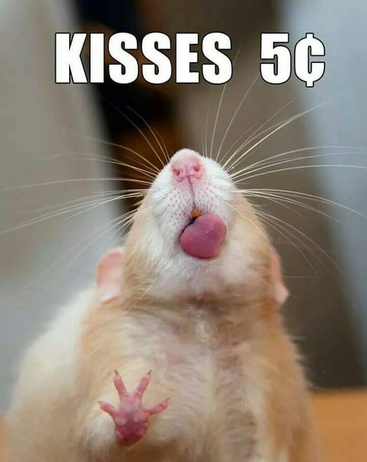 minecraftis6's tweet image. 