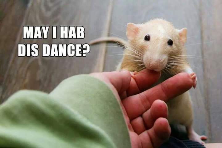 minecraftis6's tweet image. 