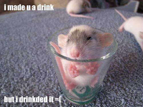 minecraftis6's tweet image. 