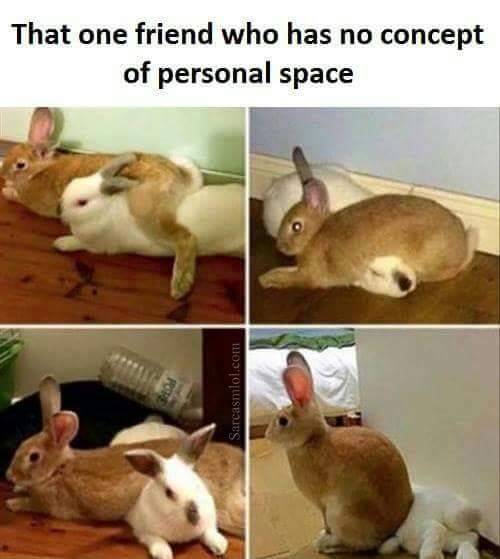 minecraftis6's tweet image. 