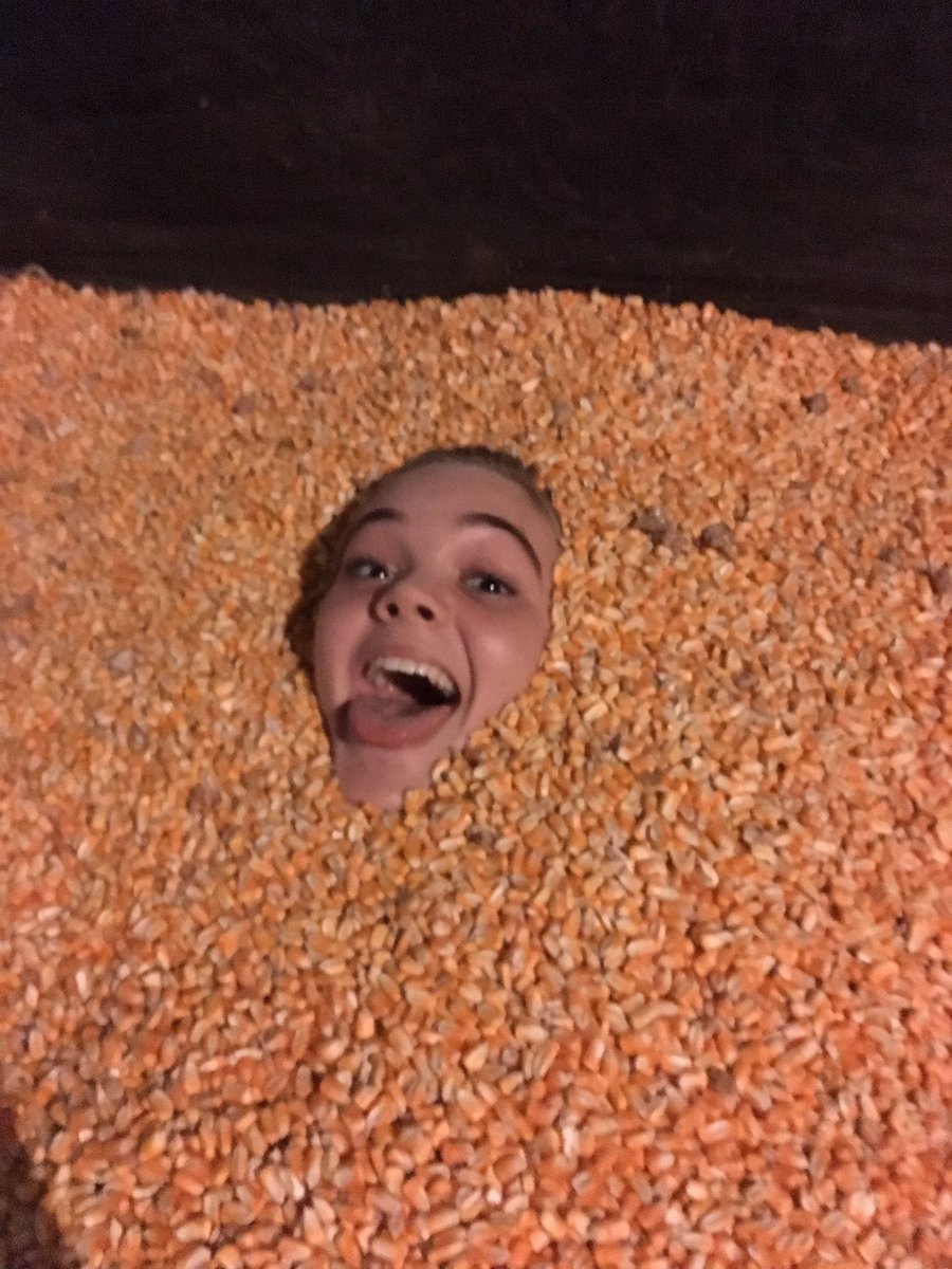 macey_mccoy's tweet photo. #cornmaZing https://t.co/PJ4htpeepz
