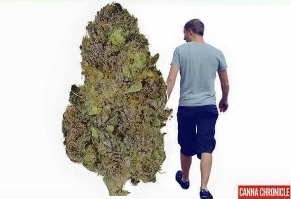 Just remember who was there for you when no one else was