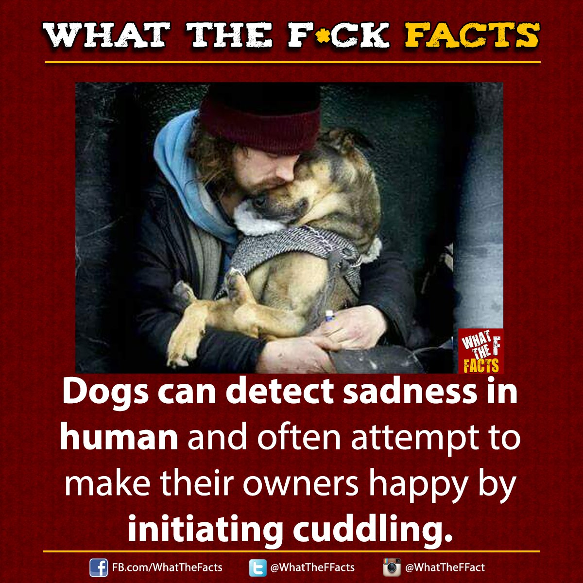 WhatTheFFacts's tweet image. 