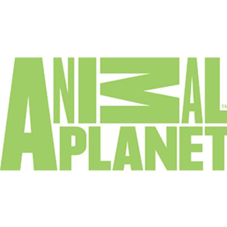 Логотип телевидение animal planet. Передачи про ветеринаров на animal planet. Animal planet передача. Энимал планет передачи. Логотип телевидение animal planet.